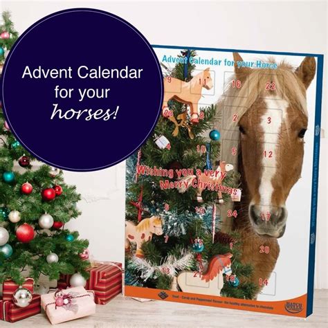 Equestrian Advent Calendar